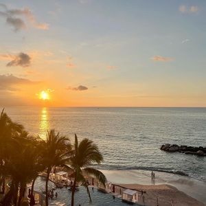 Meet your Posher, Daisy